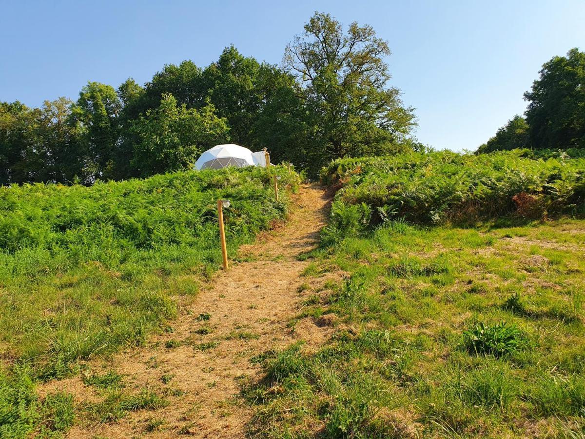 Moulin Du Pommier Glamping & Camping Saulgond Kültér fotó